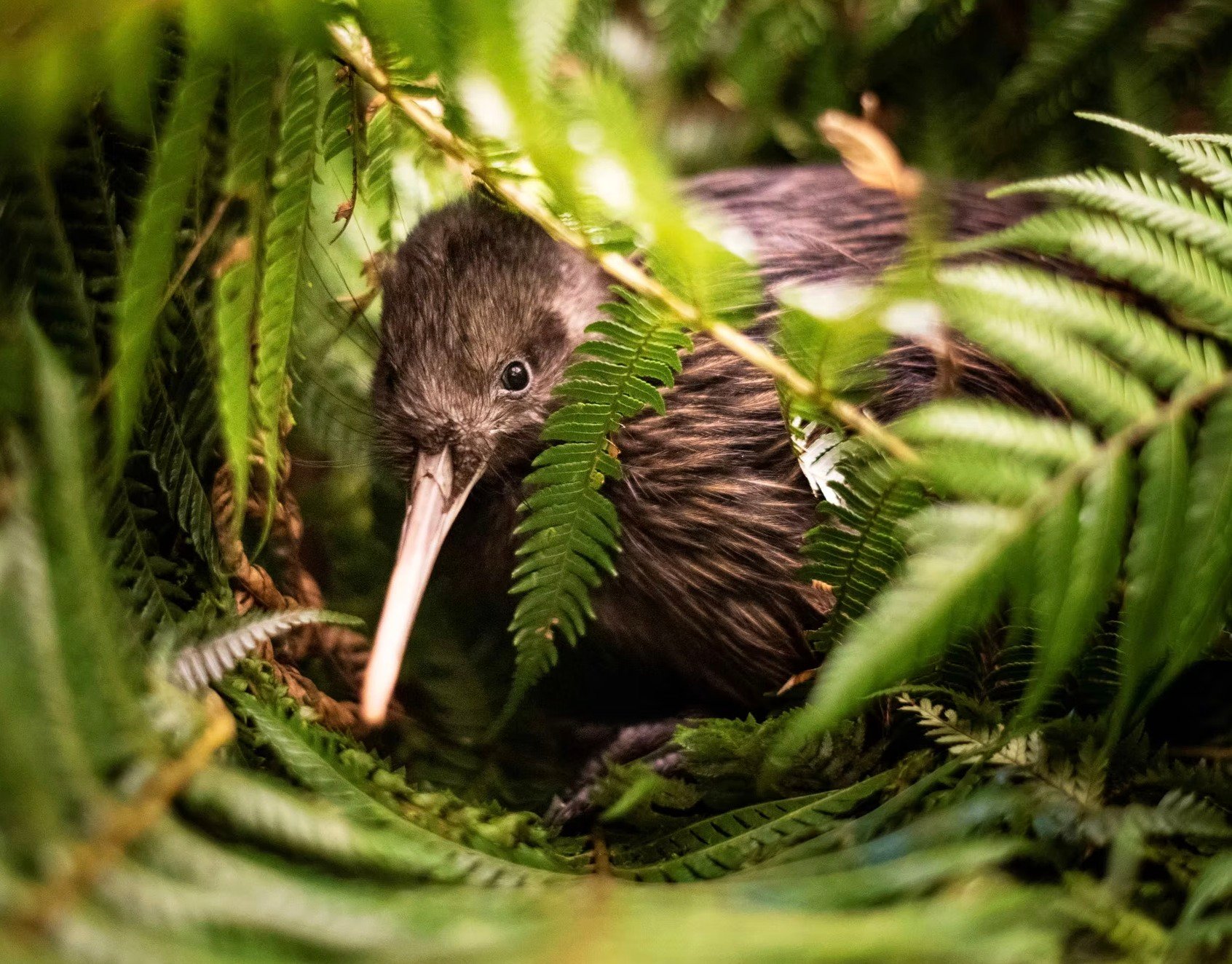 630339956_1760739968283053_2300092071837572109_n