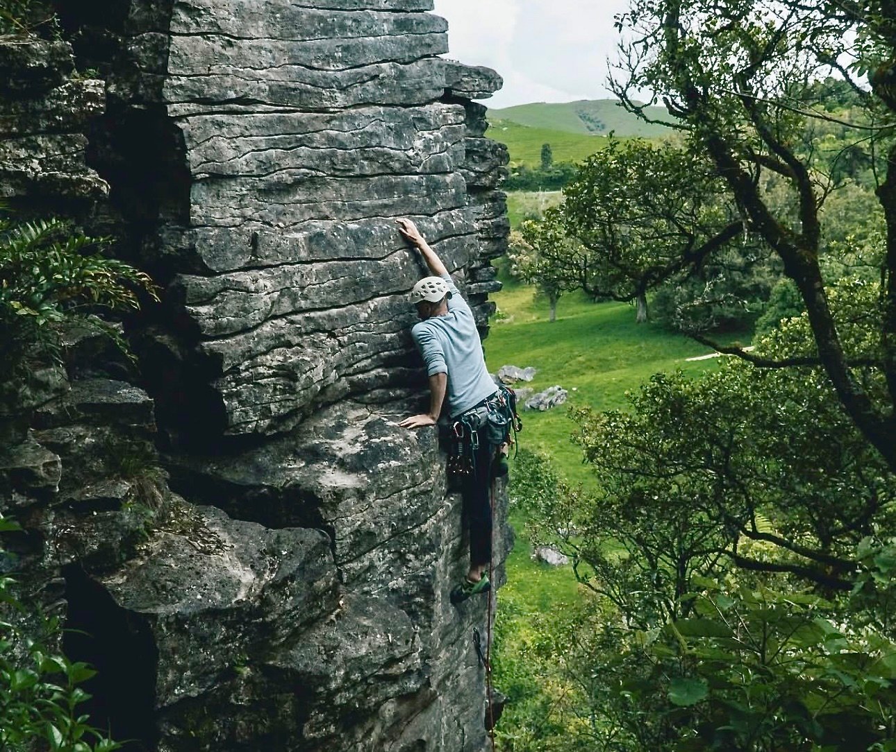 Pest_Control_Pakeho_Blog