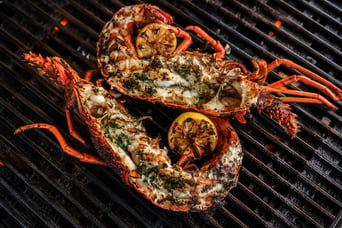 Crayfish