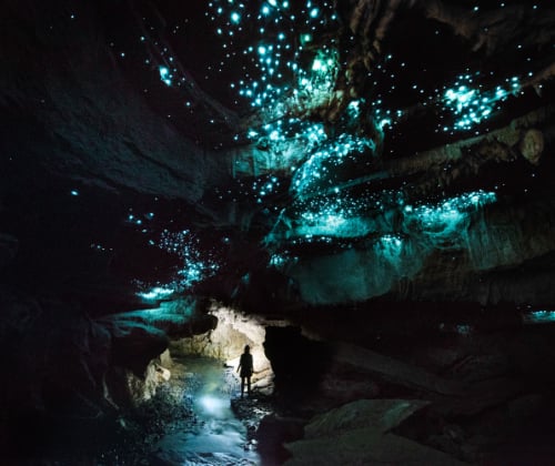 Silhouetted visitor in a large cave chamber beneath glowworms, showing scale and dramatic contrast.