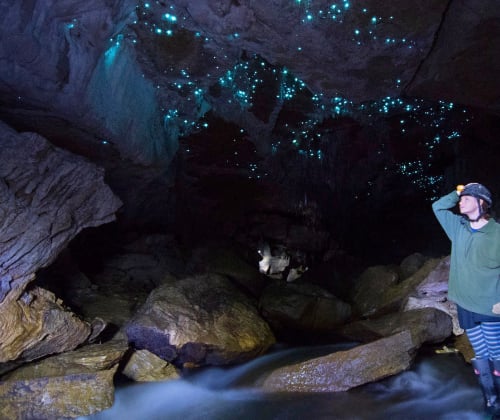 Visitor standing in an underground cave stream beneath glowworms, showing scale and contrast between rock, water, and light.