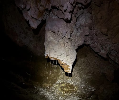 Water dripping from a cave rock ledge into an underground pool during a Down to Earth Private Tour in Waitomo.