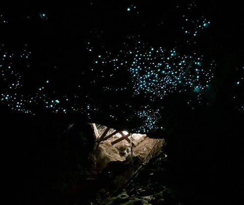 Glowworms shining across a dark cave ceiling above a rocky passage on a Down to Earth Glowworm Private Cave Tour in Waitomo.