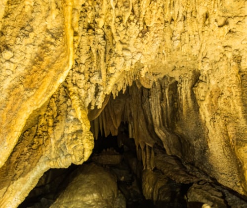 Limestone cave formations and stalactites inside a Waitomo cave, highlighting texture, depth, and natural light.