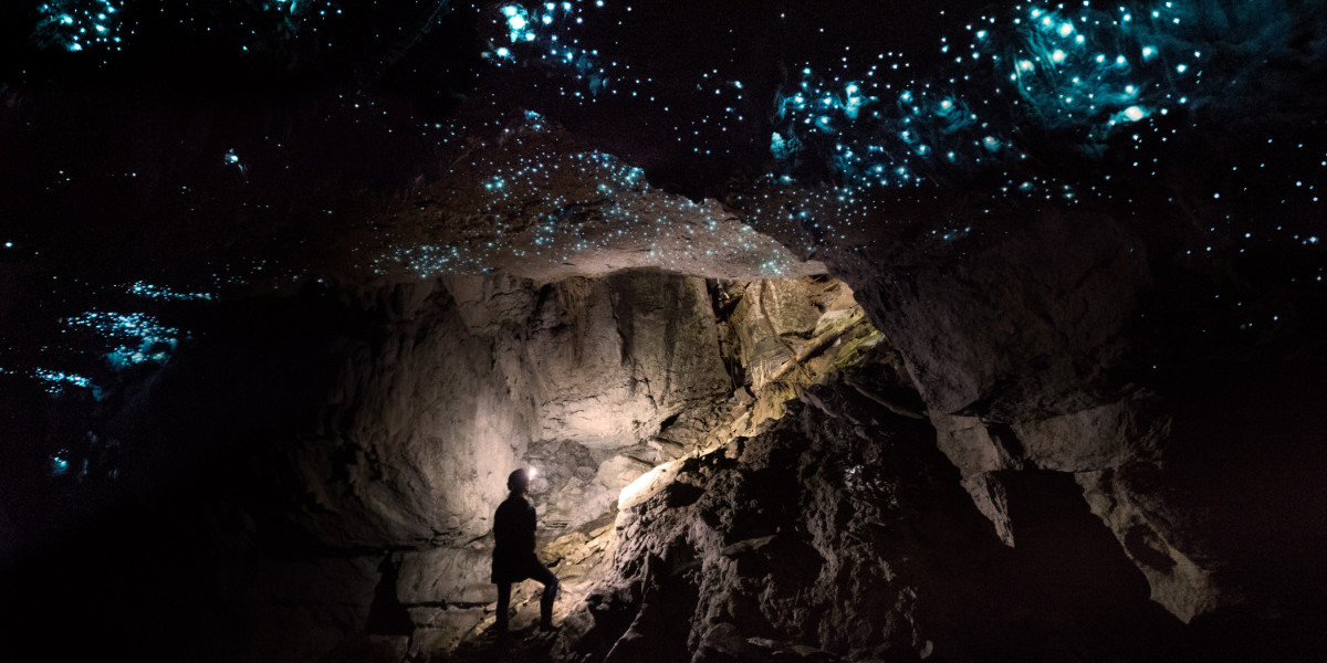 Glowworm Cave Tours in Waitomo | Tripadvisor #1 Rated | Down to Earth