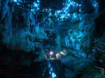 Wide limestone cave chamber in Waitomo illuminated by thousands of glowing blue glowworms above an underground stream.