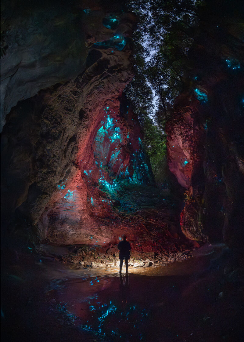 Ultimate Glowworm Cave Tour