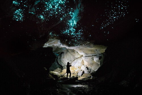 Silhouetted visitor standing inside a Waitomo cave beneath a sparkling canopy of blue glowworms during an eco tour.