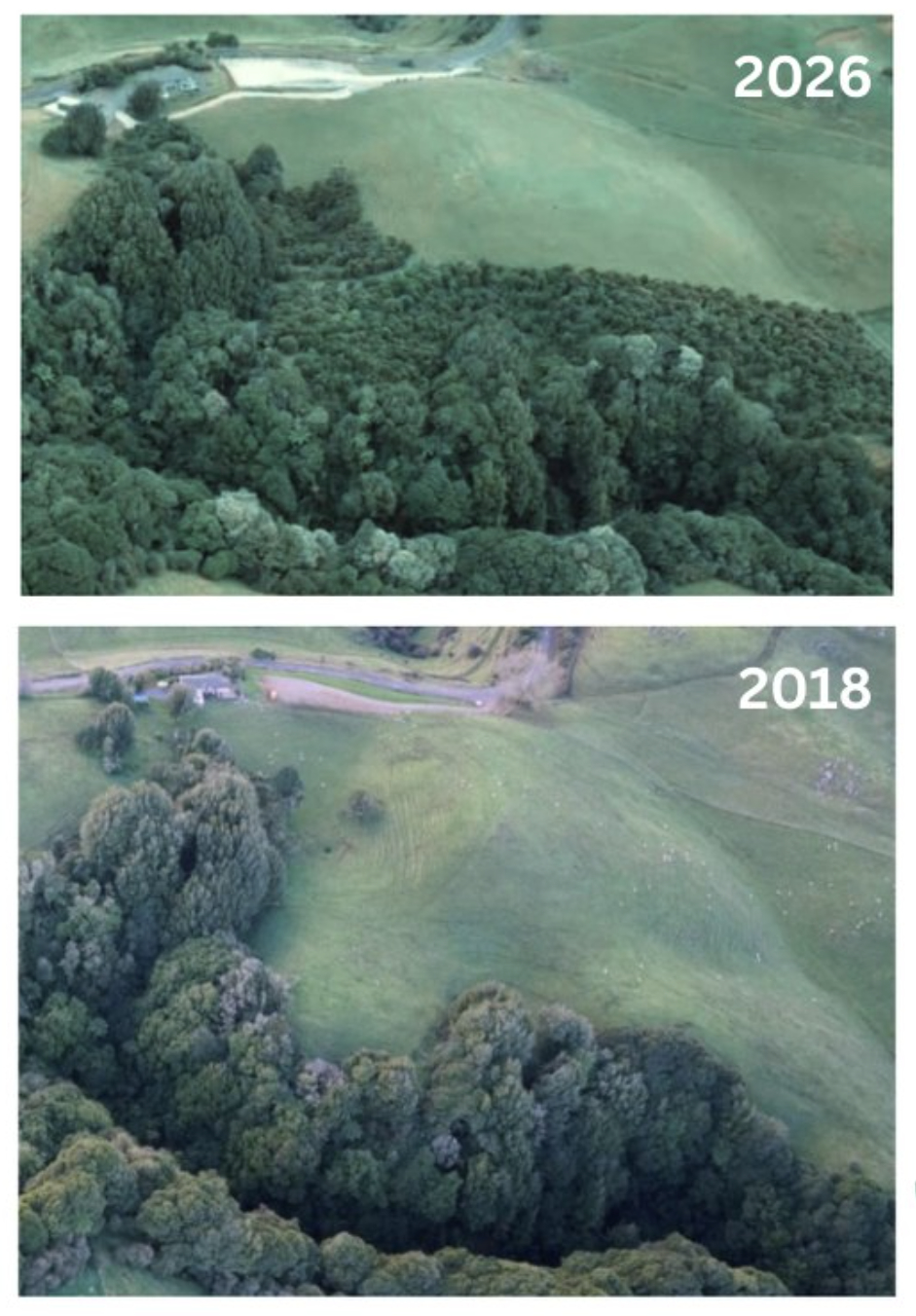 Restoration Results