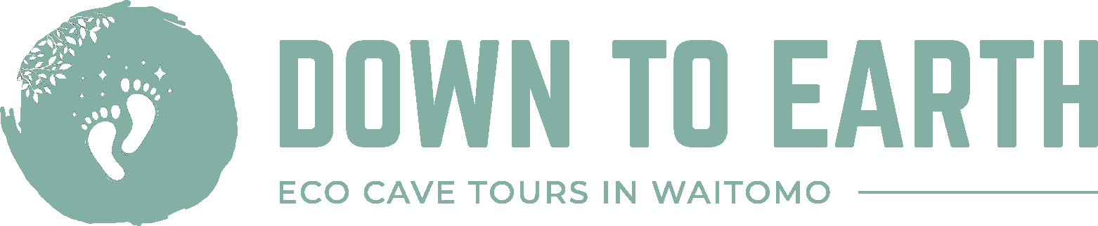 Down to Earth Logo