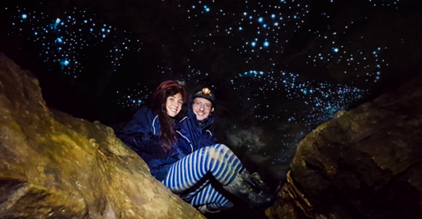 Glowworms image