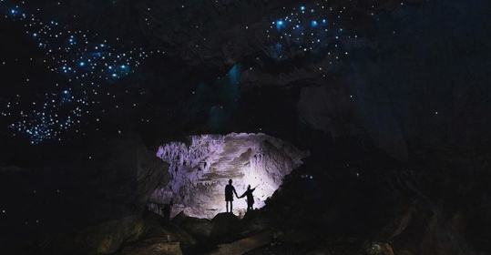 Glowworms image