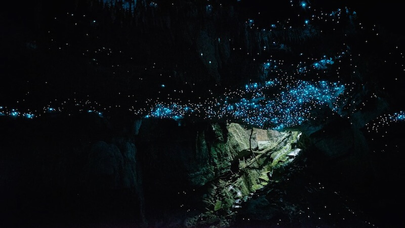 Photograph of glow worms in Mangarongapu Cave