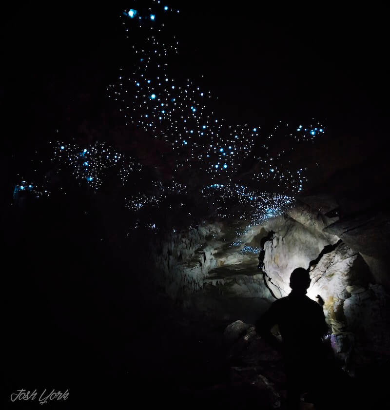 Photograph of caver and glow worms - Down to Earth
