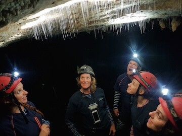 Private Glow Worm Cave Eco-tour