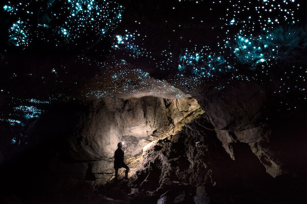 Photograph of a Down to Earth tour group in Mangarongapu Cave