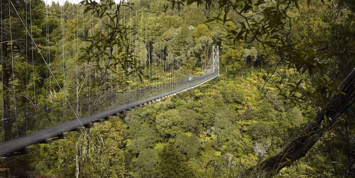The longest and highest suspension bidge in New Zealand, Pureora Forest Park